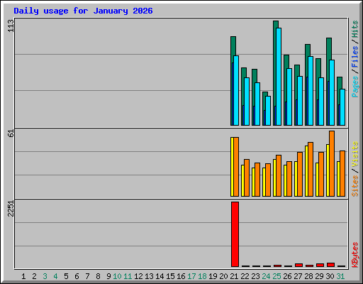 Daily usage for January 2026