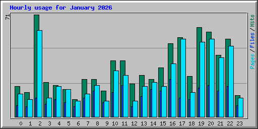 Hourly usage for January 2026